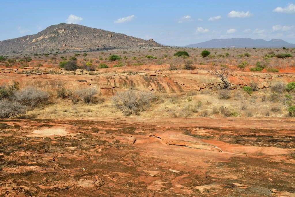 Tsavo East National Park